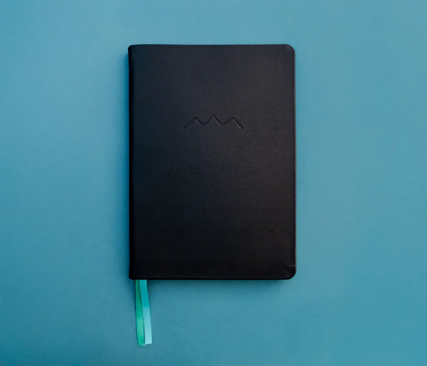 Travel Journal (Pre-order)