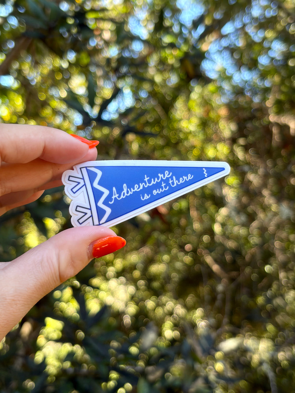 Adventure Is Out There Sticker
